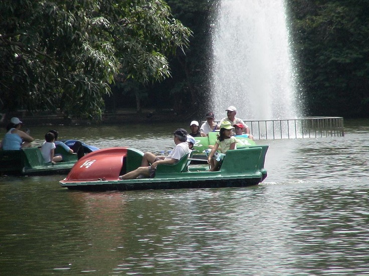 Piscícolas acuicultura tecnificada piscicultura 2015/jardines acuáticos de peces ornamentales exhibición peces ornamentales granja piscícola ornamental piscícolas acuicultura peces ornamentales cultivo peces jardines acuáticos de peces ornamentales estanque 098 231 Piscícolas acuicultura tecnificada piscicultura 2015/jardines acuáticos de peces ornamentales exhibición peces ornamentales granja piscícola ornamental piscícolas acuicultura peces ornamentales cultivo peces jardines acuáticos de peces ornamentales estanque 098 546 Piscícolas acuicultura tecnificada piscicultura 2015/jardines acuáticos de peces ornamentales exhibición peces ornamentales granja piscícola ornamental piscícolas acuicultura peces ornamentales cultivo peces jardines acuáticos de peces ornamentales estanque 098 879 Piscícolas acuicultura tecnificada piscicultura 2015/jardines acuáticos de peces ornamentales exhibición peces ornamentales granja piscícola ornamental piscícolas acuicultura peces ornamentales cultivo peces jardines acuáticos de peces ornamentales estanque 098